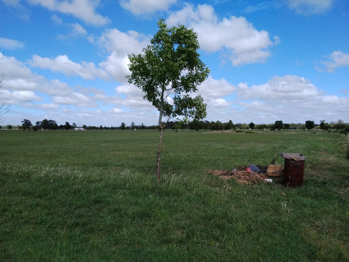 Terreno Venta Estancia Villa Maria