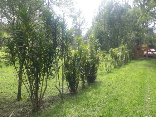 Imagem 12 de 15 de Sitio - 403 - 69427609