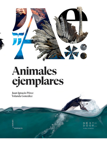 Animales Ejemplares, De Pérez Iglesias, Juan Ignacio. Editorial Next Door Publishers S.l., Tapa Dura En Español