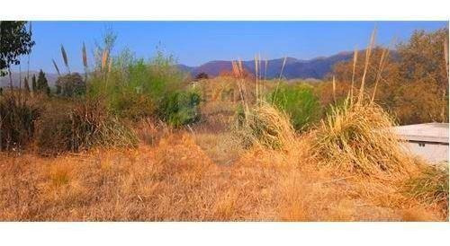 Imagen 6 de 8 de Terreno 972 M.con 2 Locales Venta V Giardino