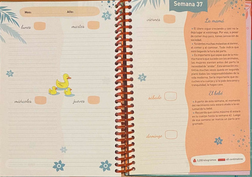 Imagen 3 de 5 de Agenda Para La Mujer Embarazada