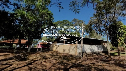 Imagem 3 de 19 de Sítio/pousada Em Anhembi - Piracicaba Sp(código St00003) - St00003 - 71022310