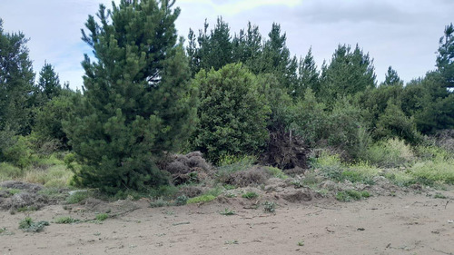 Terreno En  Esandi Y Circunvalación