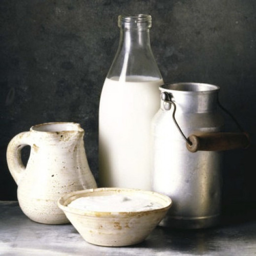 Amasi Iogurte + Instruções (tag Kefir)