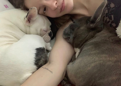 Imagen 8 de 10 de Guarderia Canin Hotel Para Perros Pequeños