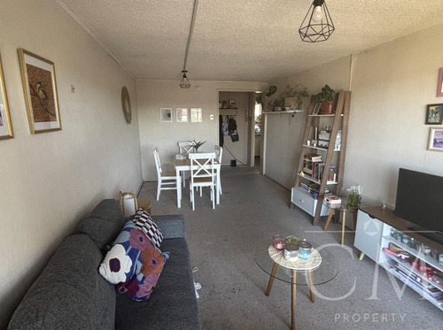 Depto En Condominio Mirador Rio Valdivia, Calle Gral Lagos
