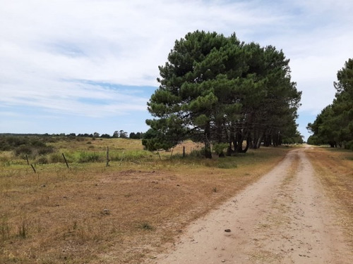 Imagen 6 de 12 de Terrenos De 4,5 Hectareas Cerca Del Mar Zona Mar Azul