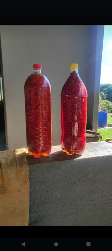 Pimentas