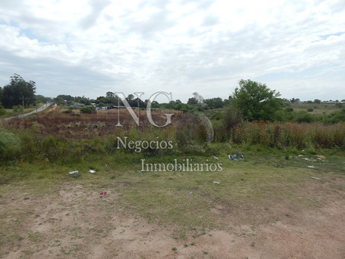 Imagen 4 de 14 de 3 Padrones De Campo Para Inversión!