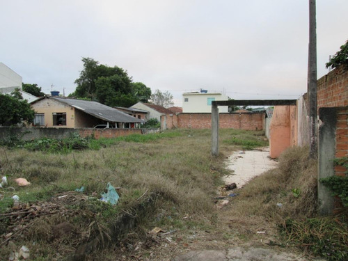 Imagem 3 de 6 de Terreno À Venda, 420 M² Por R$ 160.000,00 - Rio Pequeno - São José Dos Pinhais/pr - Te0110