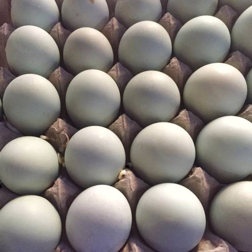 Huevos De Pata Organicos - Unidad a $1