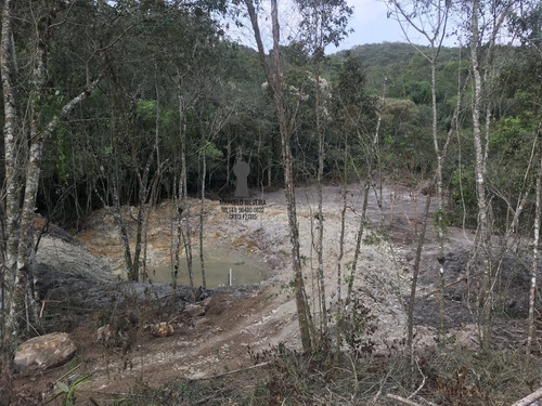 Imagem 6 de 9 de Chácara A Venda No Bairro Centro Em Bocaiúva Do Sul - Pr. - 424-1