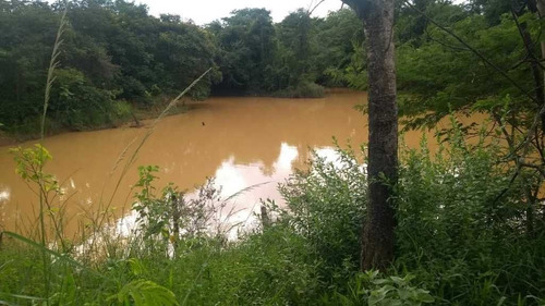 Fazenda De Gado E Graõ Com 455 Hectares Curvelo - 36426