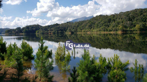 Imagem 9 de 17 de Chácara À Venda, 20000 M² Por R$ 385.200,00 - Capivari - Bocaiúva Do Sul/pr - Ch0043