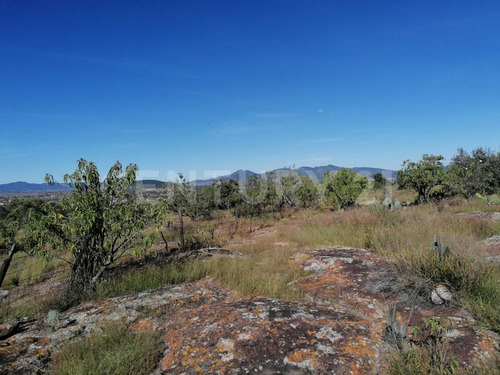 Terreno En Venta En Santa Lucia, San Juan Del Río, Querétaro.