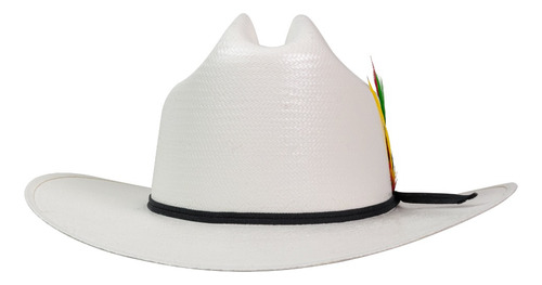 Sombrero Vaquero Americana Carin Pl Los De Villa 50x