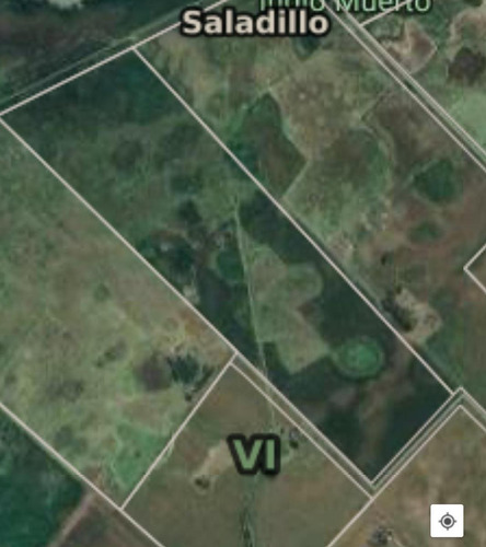 Campo En Saladillo
