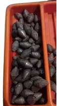 Comprar Plomos Para Pezca