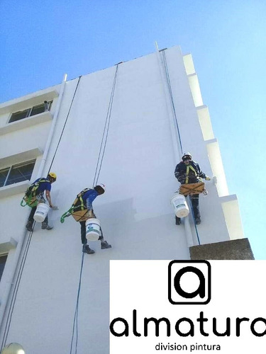 Imagen 3 de 4 de Silletero Trabajo En Altura Pintura De Edificios