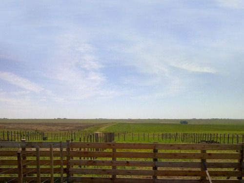 Campo En Florida Ref. 2733