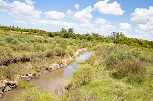 Venta Campo 20 Has