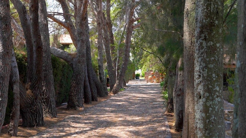 Lote Con Casa Y Viñedo En Venta | San Miguel De Allende | Desarrollo Ecuestre