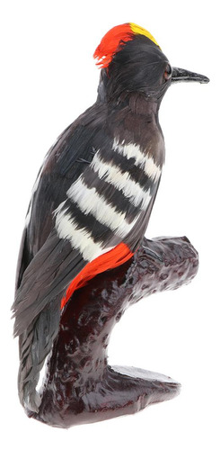 2x Simulación Animal Modelo Coleccionables Pájaro