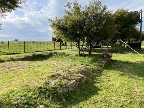 Imagen 25 de 27 de Campo 22 Has Con Casa, Cerca De Pueblo Edén - Pueblo Eden