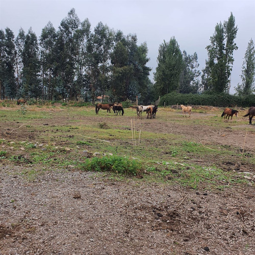 Excelente Terreno En Sector Roma San Fernando