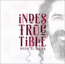 Diego El Cigala Indestructible Cd Sellado / Kktus