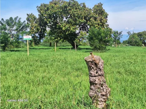 Venta Lotes En Quimbaya -quindío Colombia Cod: 7555717