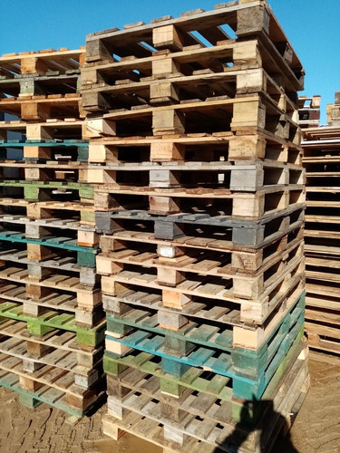 Pallets Mercosur 