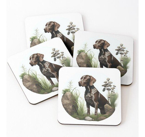 Set Posavasos Hermoso Braco Alemán De Pelo Corto De Hígado S