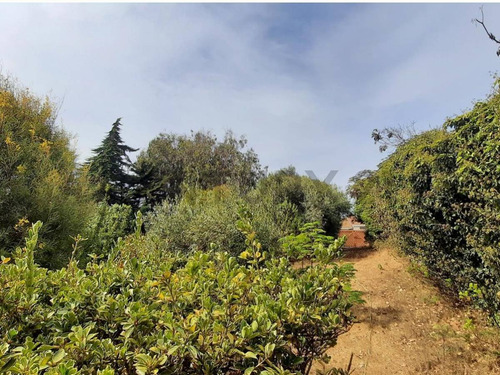 Se Vende Casa En Quintero Terreno 1000 M2