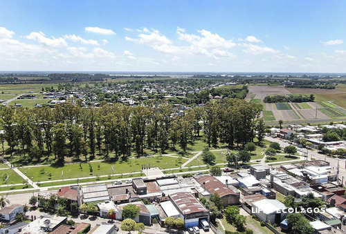 Imagen 23 de 30 de Ecolagos Este - 300m2