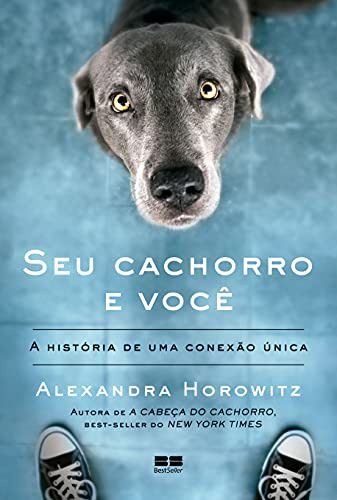 Libro Seu Cachorro E Você A História De Uma Conexão Única De