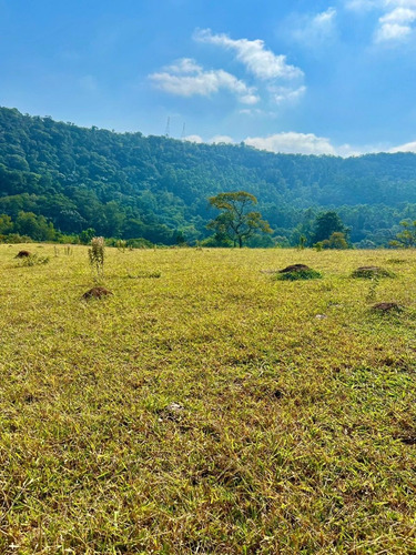 Imagem 2 de 6 de R22-compre Seu Terreno Direto No Asfalto / Invista Já