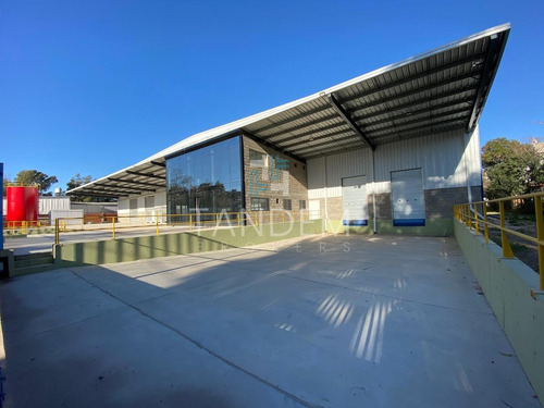 Imagen 6 de 6 de Excelente Galpón A Estrenar 5000 M2 Planta Libre Oficinas Premium En Zona Industrial El Triangulo!