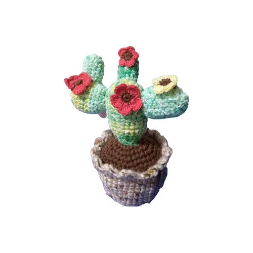 Cactus Tejidos A Mano