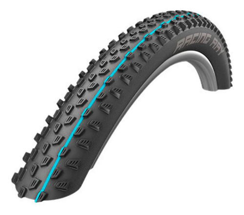 Pneu 29x2.25 Schwalbe Racing Ray Evo Snakeskin Preto