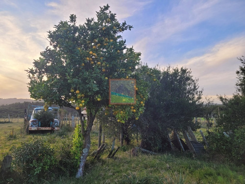 Imagen 10 de 26 de 70 Hectáreas De Campo Ganadero Corte De La Leña