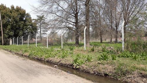 Imagen 3 de 4 de Terreno - Villa Rosa