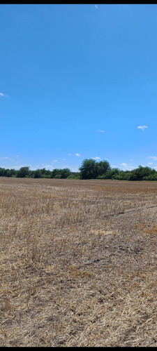 Campo 27 Hectareas Rosario Del Tala Soja Trigo Sorgo