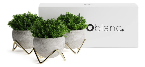 Studio Blanc Decoracion De Plantas Pequenas | Juego De 3 Pla