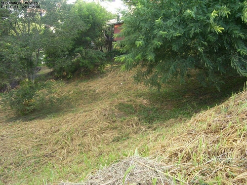 Imagem 2 de 8 de Terreno - Te00217 - 2650514
