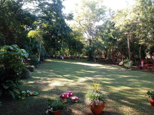 Imagem 6 de 23 de Chácara Com 4 Dormitórios À Venda, 9000 M² Por R$ 750.000,00 - Aparecidinha - Santa Terezinha De Itaipu/pr - Ch0024