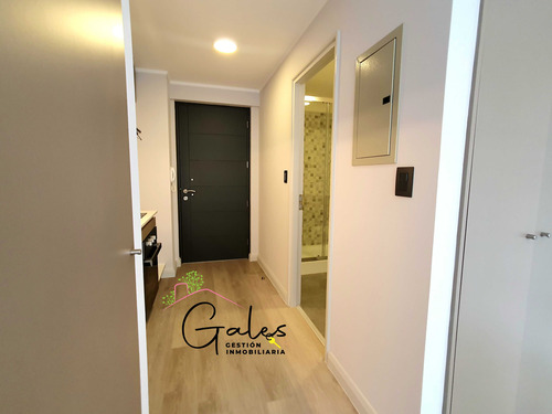 Depto Estudio Amoblado, Calle Inglaterra (86346)