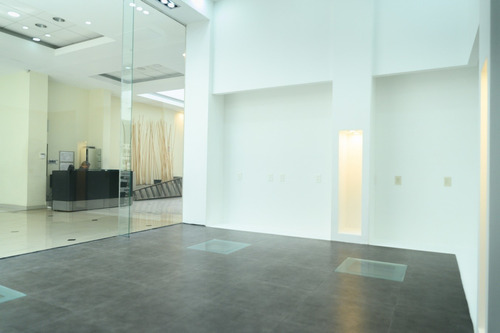 Av Brasil Y Rbla. Local En Micenas Mall 33 M2, Baño