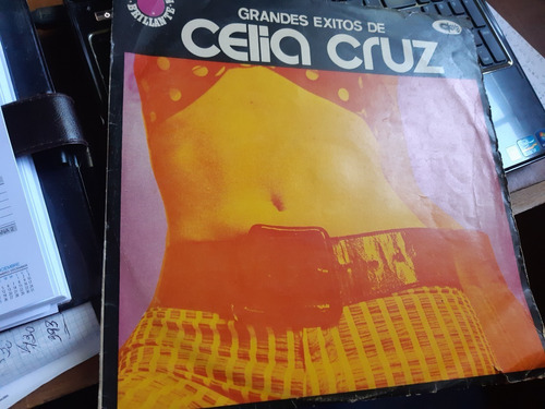 Celia Cruz Lp De Vinilo Usado Impecable Estado