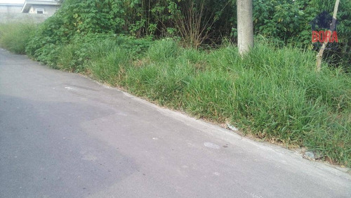 Imagem 6 de 6 de Terreno À Venda, 268 M² Por R$ 140.000 - Terra Preta - Mairiporã/sp - Te0213